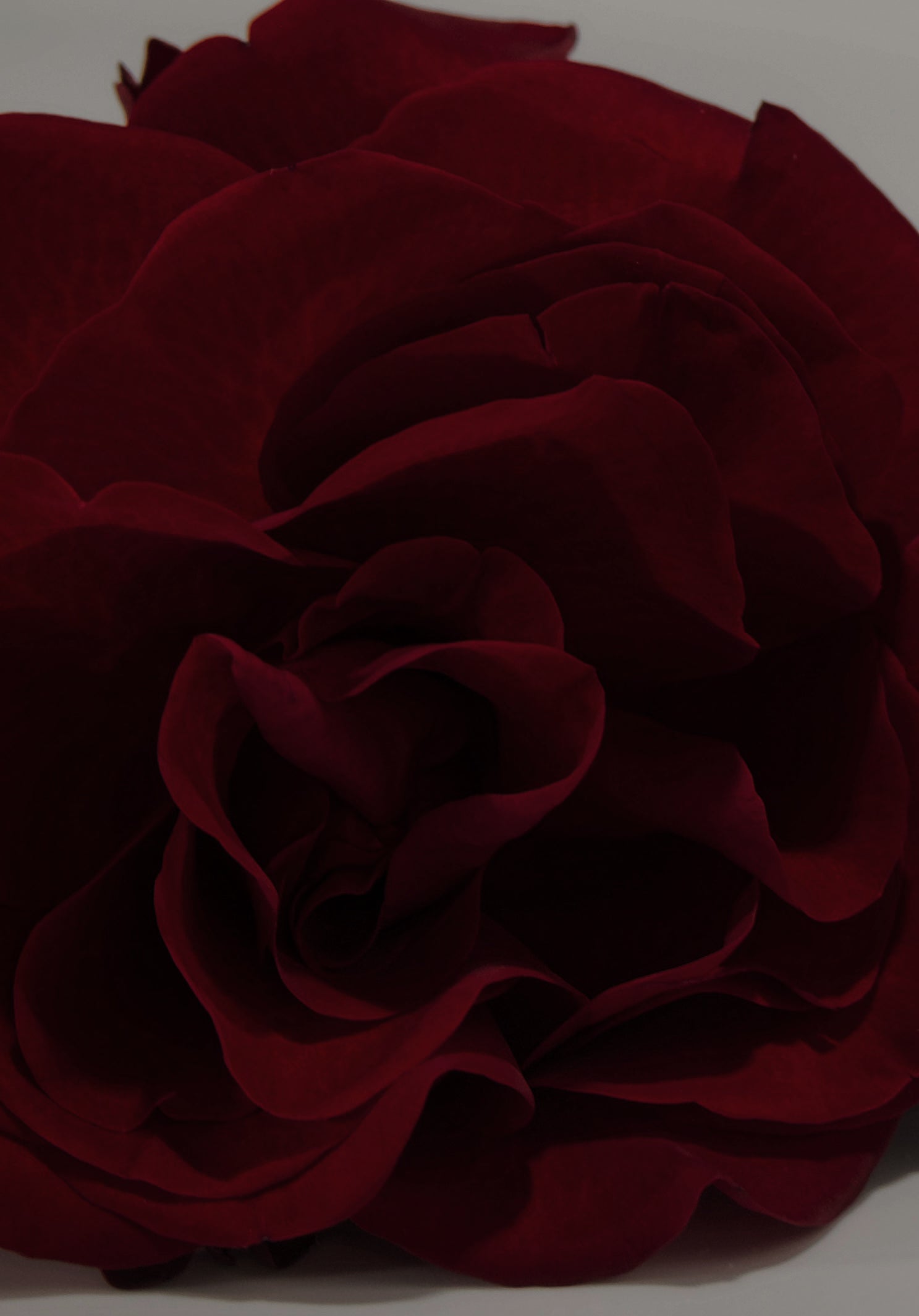 Facetune_17-12-2025-20-54-40.heic